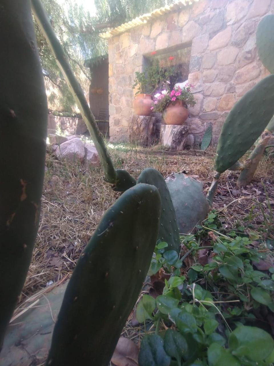La Casita Hotel Tilcara Kültér fotó