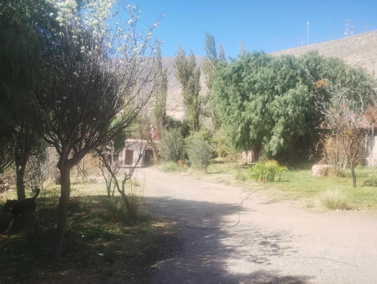 La Casita Hotel Tilcara Kültér fotó
